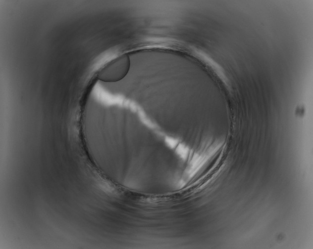 X0000100311411200807031136