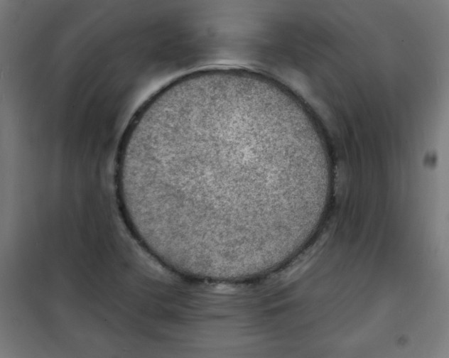 X0000100311412200807031136