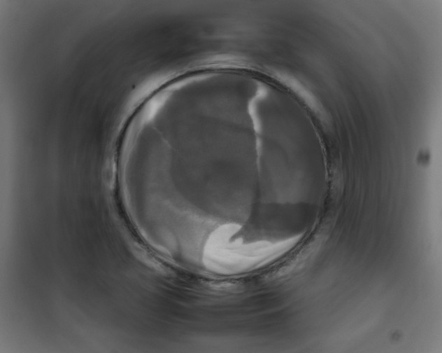 X0000100311413200807031136