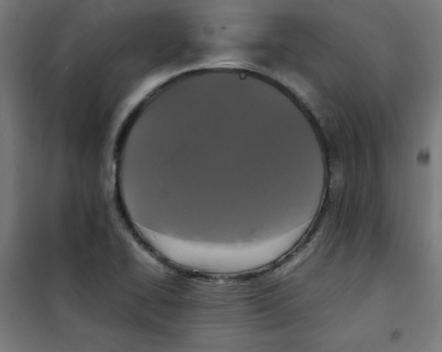 X0000100311414200807031136