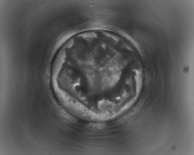 X0000100311415200807031136