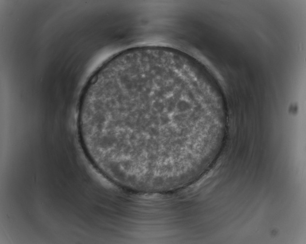 X0000100311416200807031136