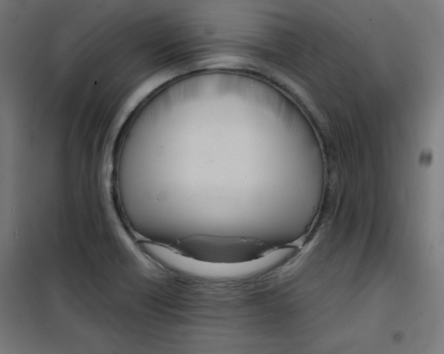 X0000100311418200807031136