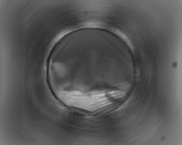 X0000100311419200807031136