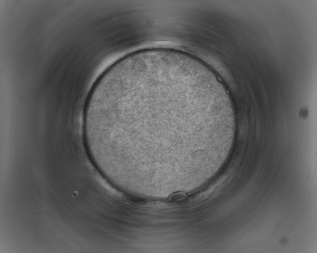 X0000100311420200807031136