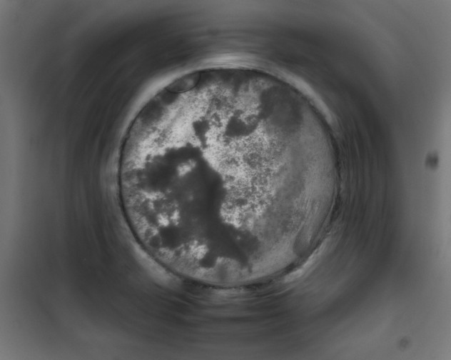 X0000100311421200807031136