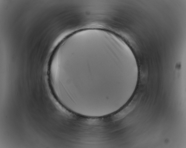 X0000100311422200807031136