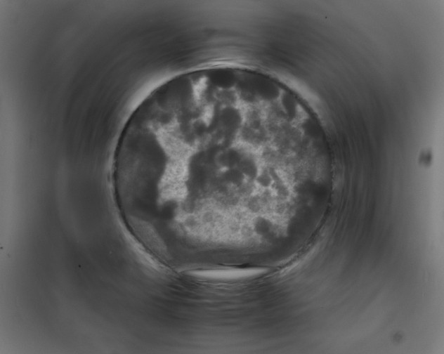 X0000100311423200807031136