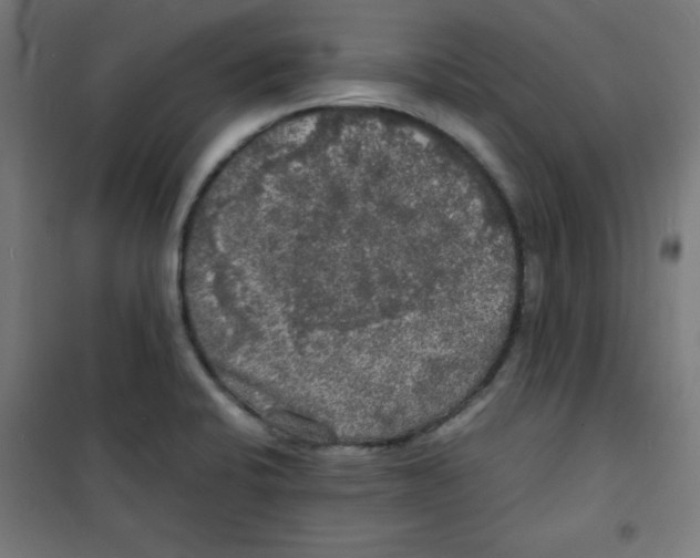 X0000100311424200807031136