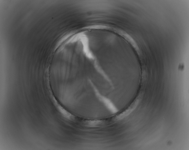 X0000100311425200807031136