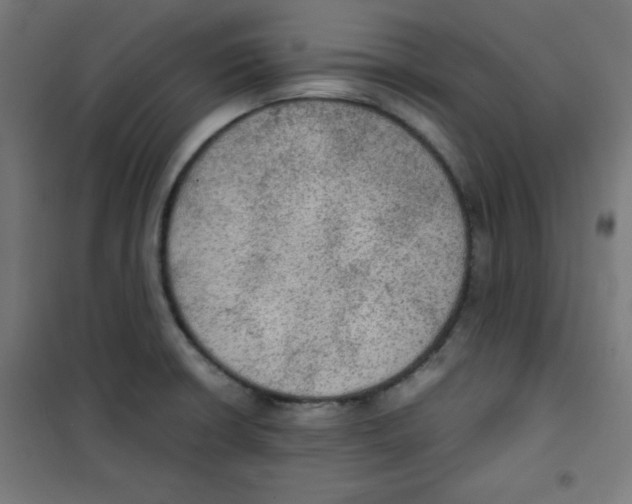 X0000100311426200807031136