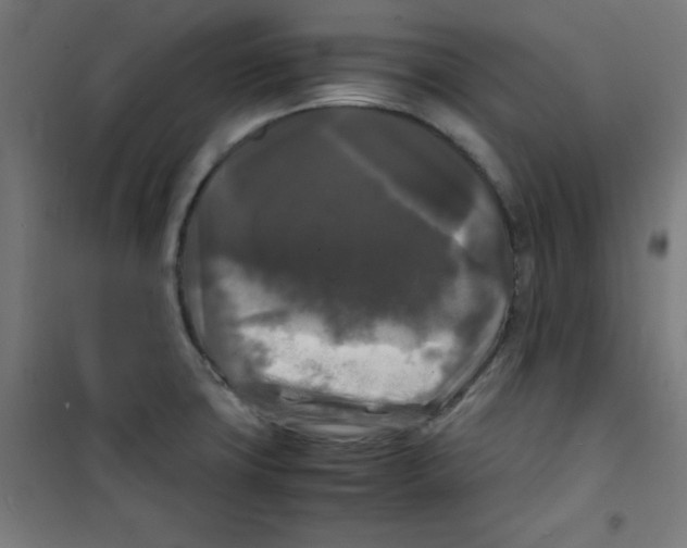 X0000100311427200807031136