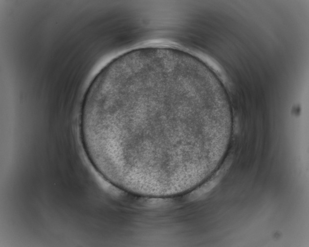 X0000100311430200807031136