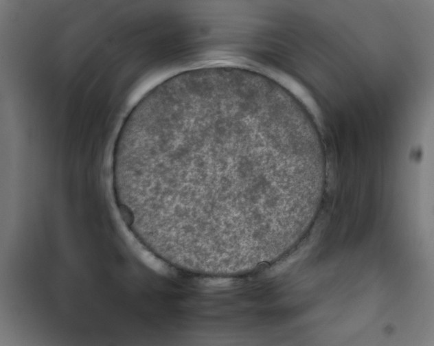 X0000100311431200807031136