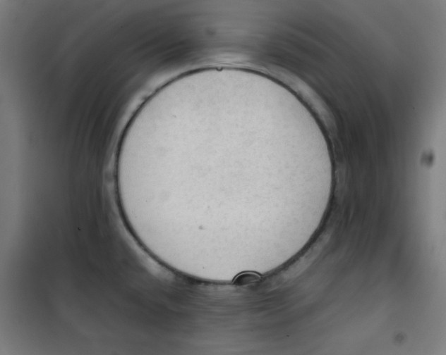 X0000100311432200807031136