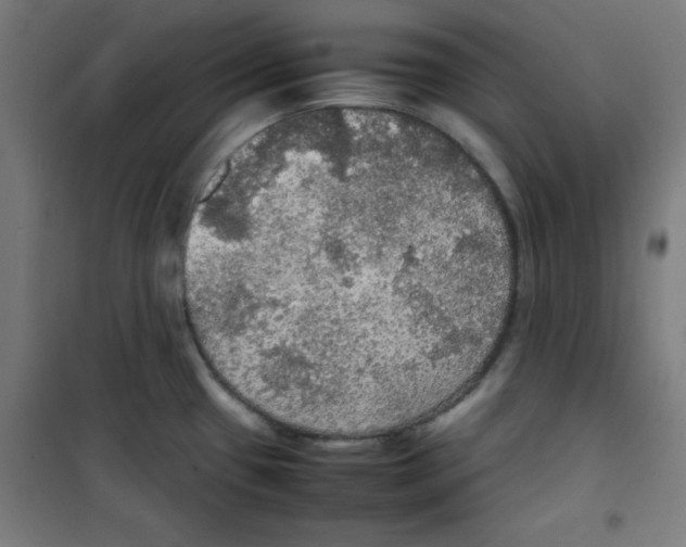 X0000100311433200807031136