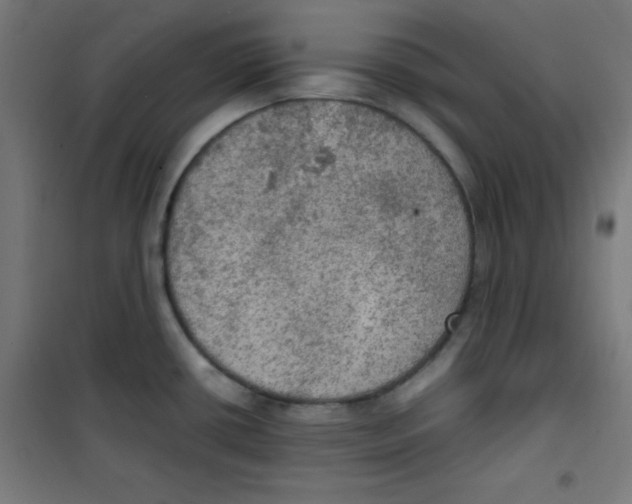 X0000100311434200807031136