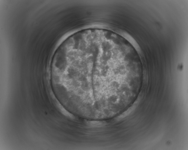 X0000100311436200807031136