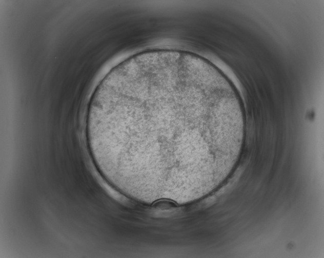 X0000100311437200807031136