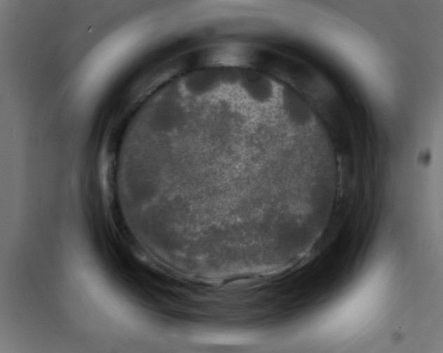 X0000100311438200807031136