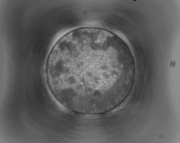 X0000100311440200807031136