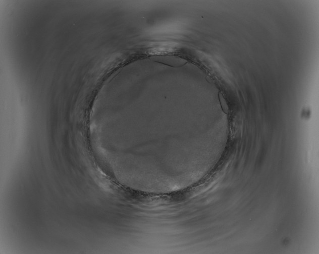 X0000100311441200807031136