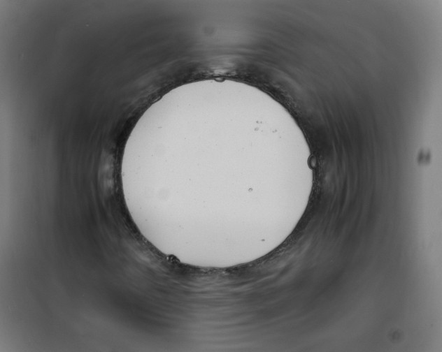 X0000100311442200807031136