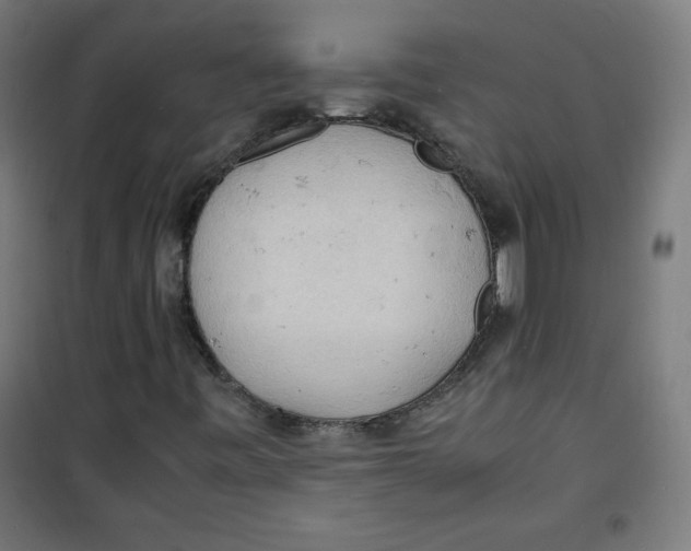 X0000100311443200807031136