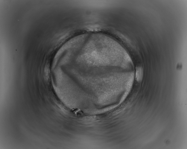 X0000100311444200807031136