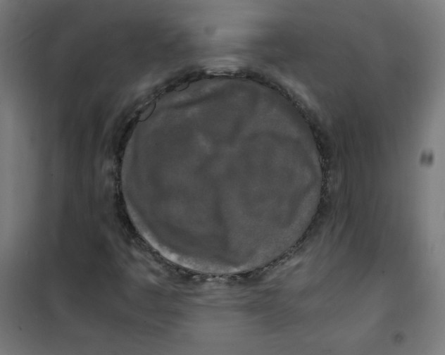 X0000100311445200807031136