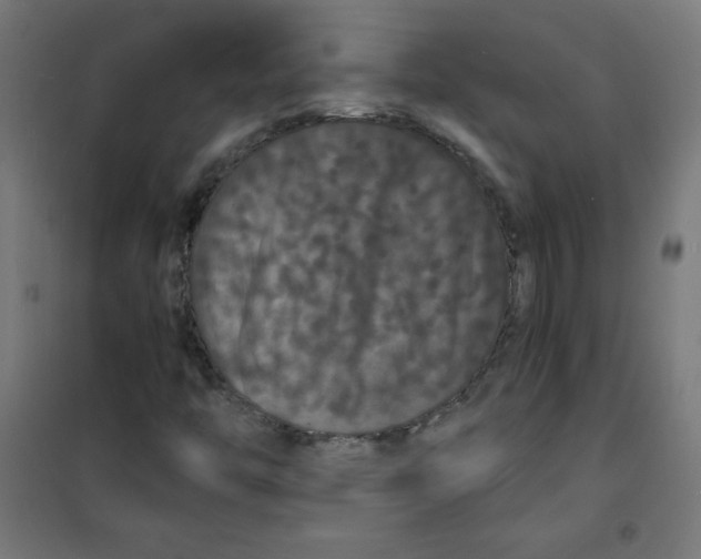 X0000100311446200807031136