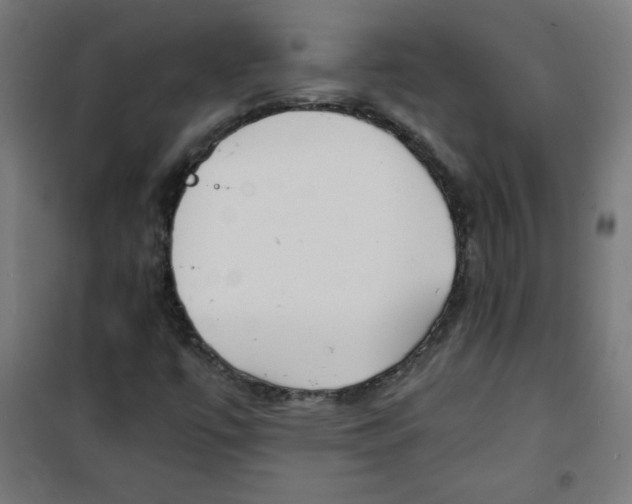 X0000100311447200807031136