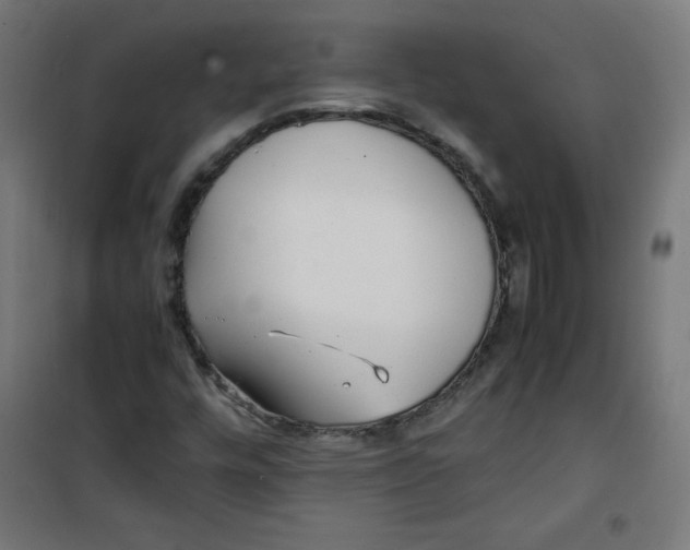 X0000100311448200807031136