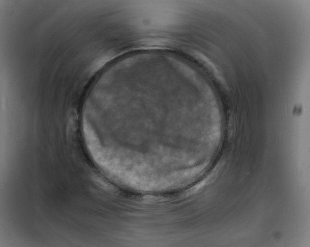 X0000100311449200807031136