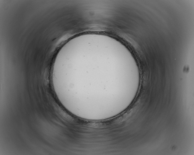 X0000100311451200807031136