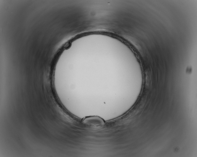 X0000100311452200807031136