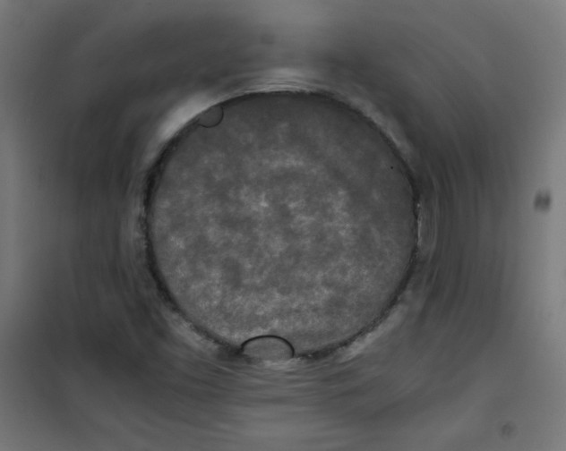 X0000100311453200807031136