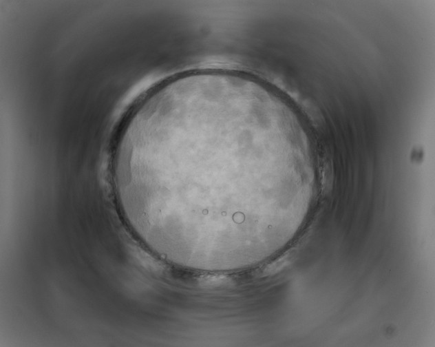 X0000100311454200807031136