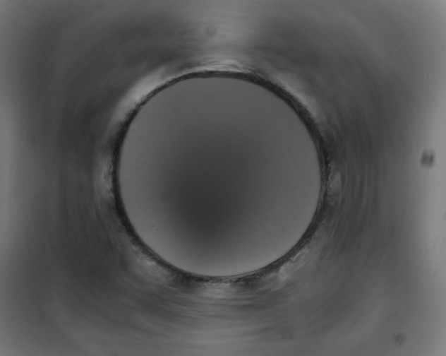 X0000100311455200807031136