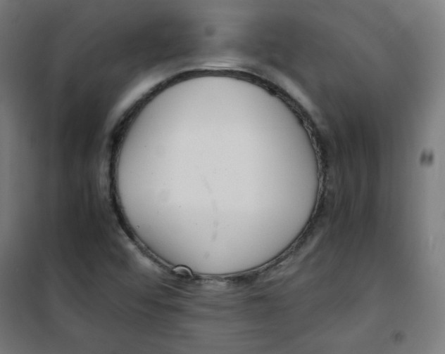 X0000100311456200807031136