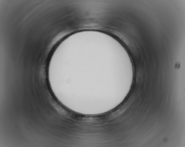 X0000100311458200807031136