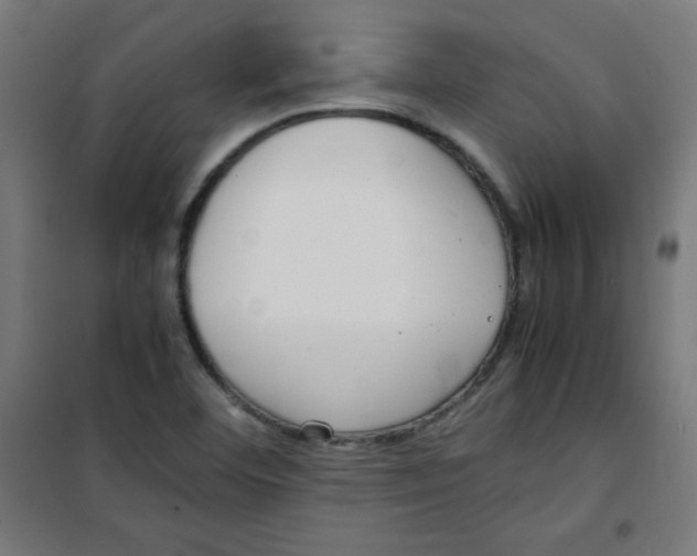 X0000100311460200807031135