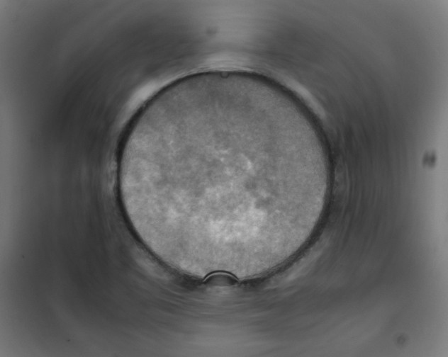 X0000100311461200807031135