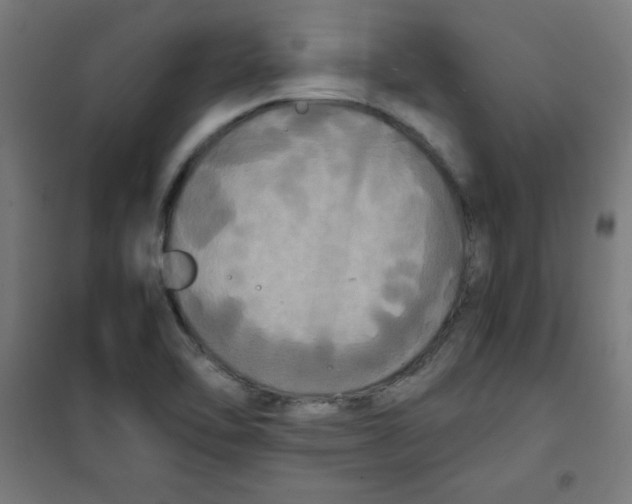 X0000100311462200807031135