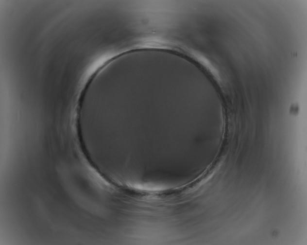 X0000100311463200807031135