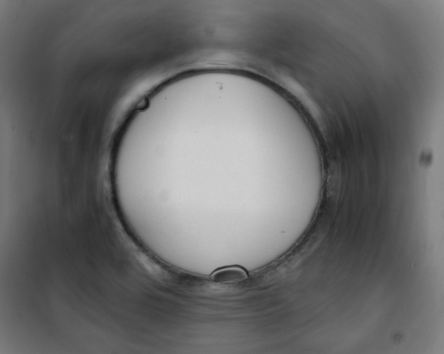 X0000100311464200807031135