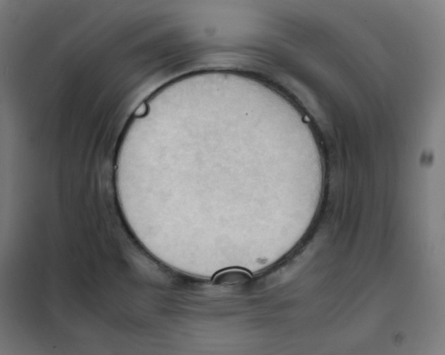 X0000100311465200807031135