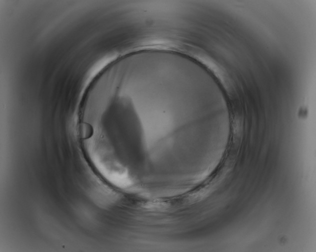 X0000100311466200807031135