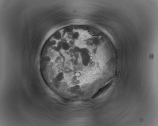 X0000100311467200807031135