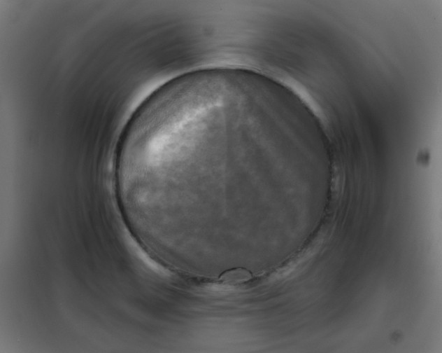 X0000100311468200807031135